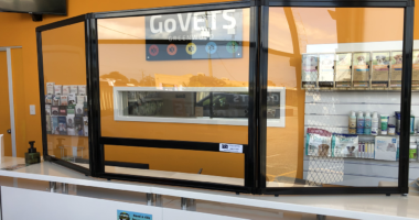 Perth-Veterinary-Clinic-Use-Countertop-Protection-Screen-to-Keep-Staff-Safe-Portable-Partitions-Australia