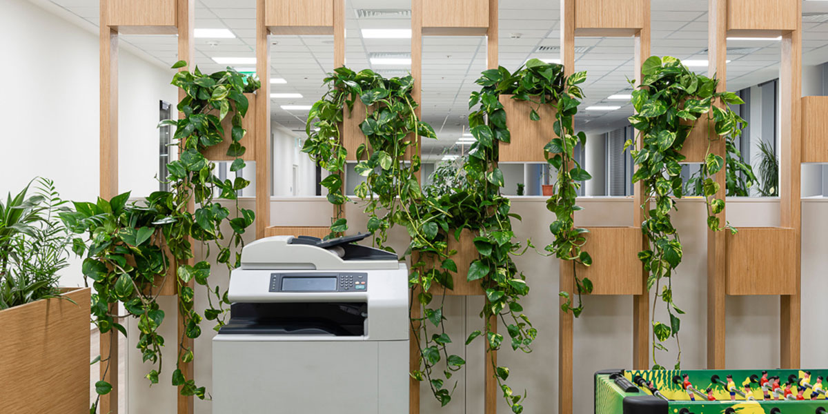 Bring a bit of natural beauty to the office